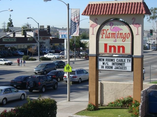 Flamingo Inn 로즈메드 외부 사진