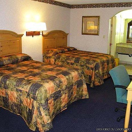 Flamingo Inn 로즈메드 객실 사진